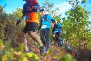 BIB: 
                            <button type="button" onclick="openModal(21837742)" class="btn btn-primary btn-sm float-right btn-popup" data-toggle="modal" data-target=".modal-high-quality">
                        <i class="fas fa-shopping-cart"></i> Add to Cart
                    </button>
                                            <button type="button" onclick="isThisMe(21837742, true)" class="btn btn-success btn-sm float-right btn-popup btn-isme hidden" data-toggle="tooltip" data-placement="bottom" title="นี่คือรูปของคุณใช่ไหม คลิกที่นี่เพื่อเอาเข้าอัลบั้ม">
                        <i class="fas fa-plus"></i> Add to album
                    </button>
                    <button type="button" onclick="isThisMe(21837742, false)" class="btn btn-warning btn-sm float-right btn-popup btn-isnotme hidden">
                        <i class="fas fa-ban"></i> Remove from album
                    </button>